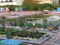 Urban Gardening, Foto: Wikimedia Commons