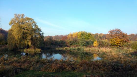 Badebornteich an einem sonnigen Herbsttag 2016