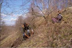 Landschaftspflegeeinsätze des BUND auf den Höverschen Kippen