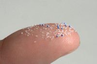 Mikroplastik aus Duschgel auf einem Finger; Foto: Stephan Glinka